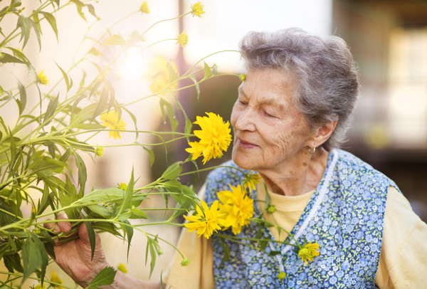 in-home respite care